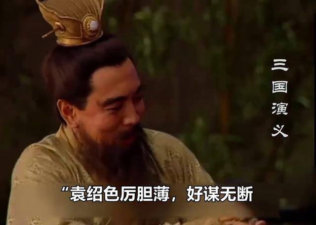 好谋无断
